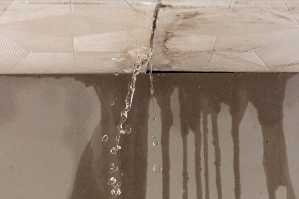 Professional Water Damage Restoration technician working in Dundee, FL